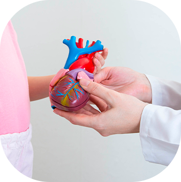 Avaliação cardiológica pré-operatória infantil