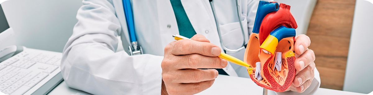 Seguimento cardiológico do adulto com cardiopatia congênita